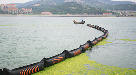 2008年7月，參加青島海域滸苔防治工作